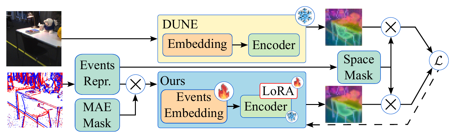 Overview of the cross-modal distillation framework: event representations undergo MAE-style patch dropout before being processed by a trainable embedding layer and a LoRA-adapted student encoder, trained to match the frozen DUNE teacher under a progressive spatial mask.