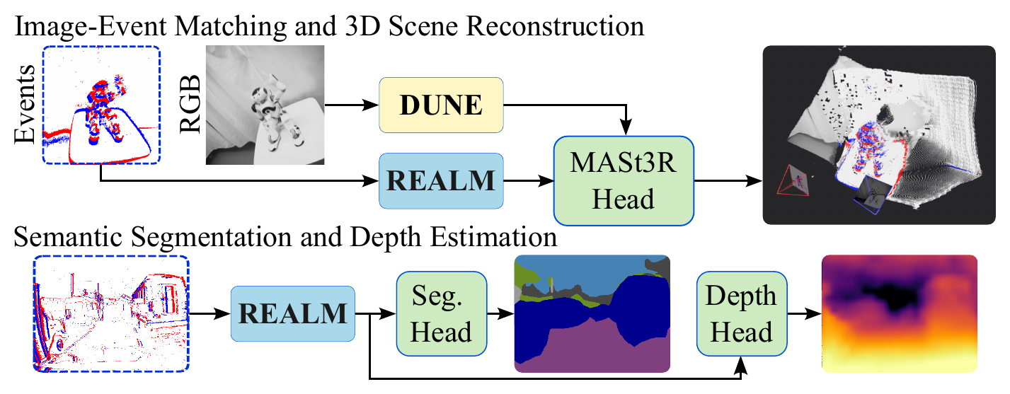 REALM overview: events are mapped by REALM into DUNE's latent space, enabling zero-shot MASt3R-based feature matching and 3D reconstruction, as well as semantic segmentation and depth estimation via simple linear heads.